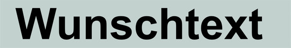 Rückenschild WUNSCHTEXT Reflexschild | 30 x 5 cm |silber